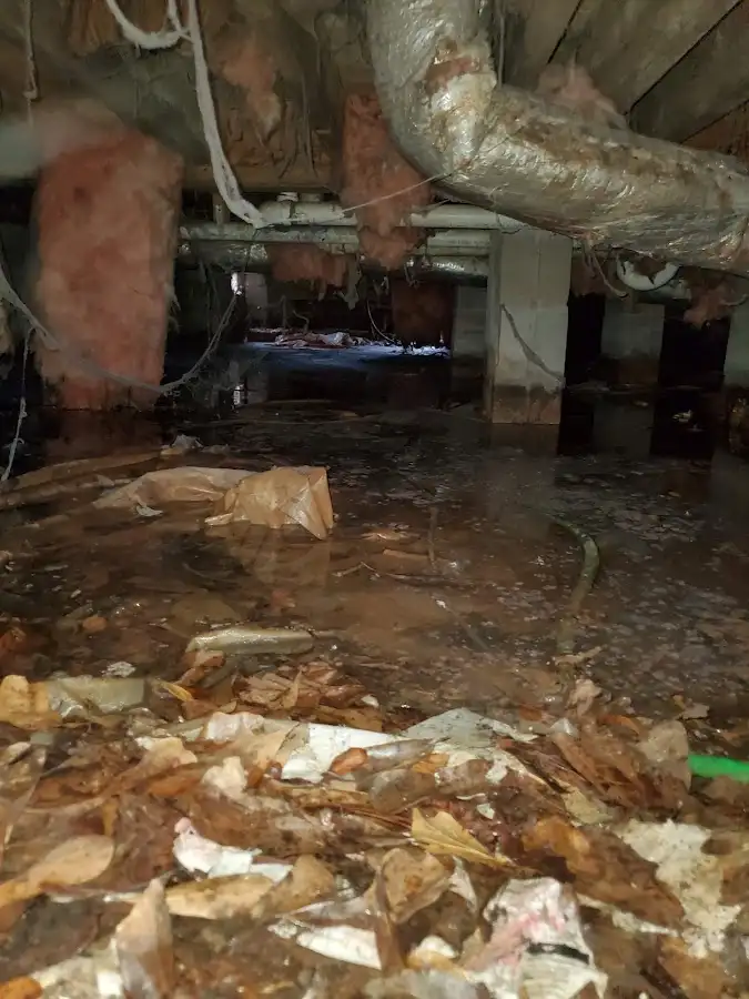 Crawl space flood assessment for Leak Detection & Repair in Hastings