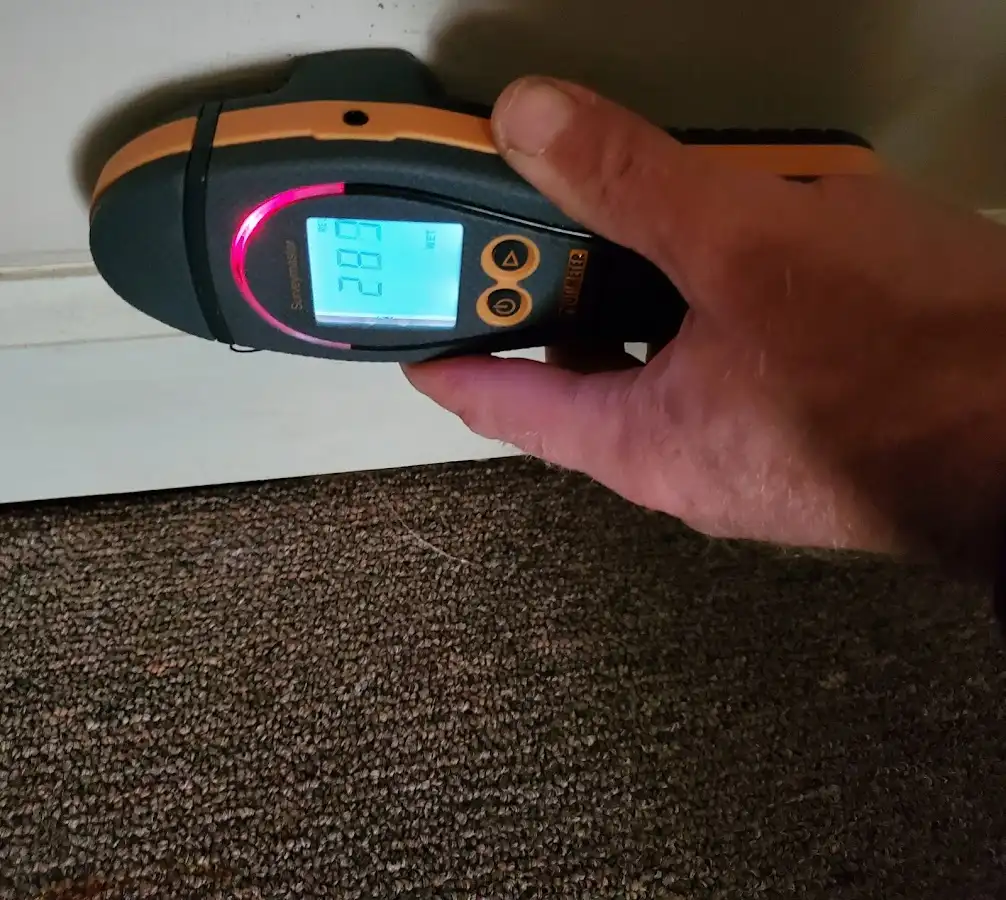 Moisture detection at baseboard during Sewage Cleanup & Sanitation in Hastings